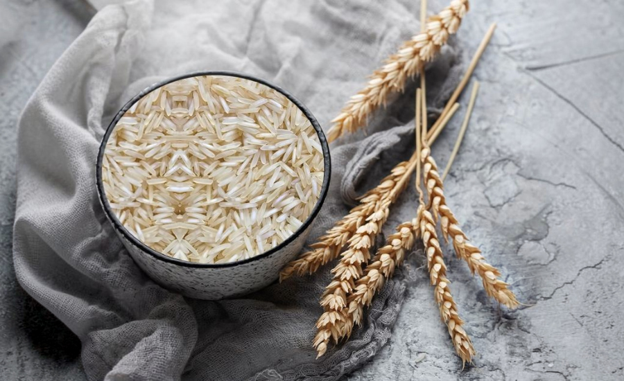 Indian Agricultural Products Exporter
