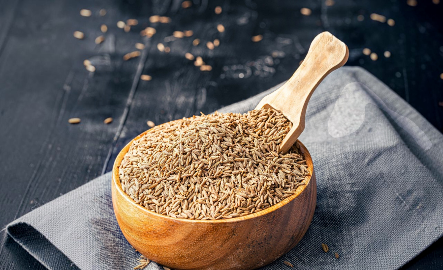 Indian Agricultural Products Exporter