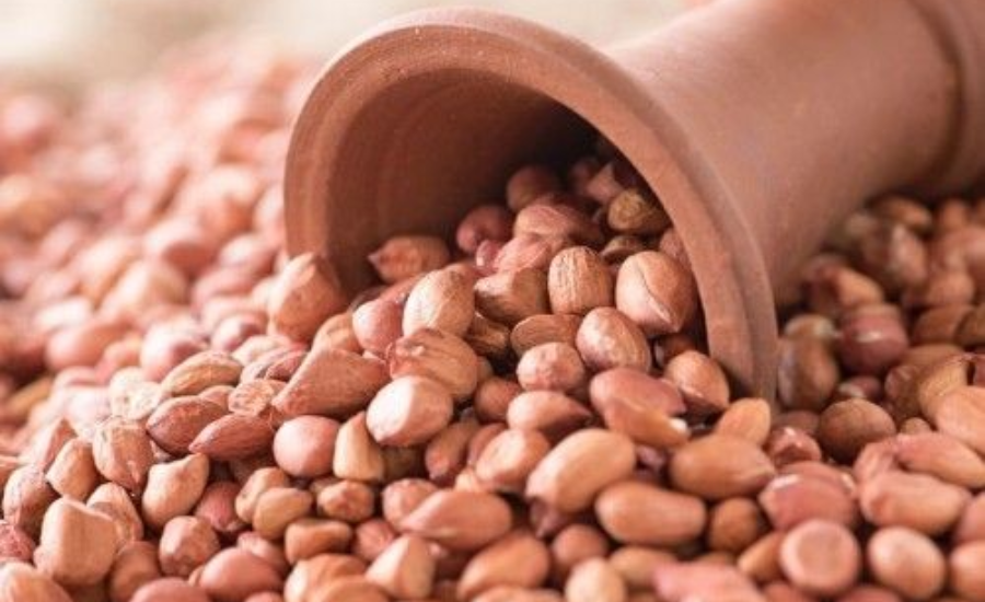 Indian Agricultural Products Exporter