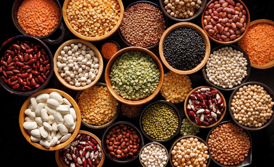 Indian Agricultural Products Exporter