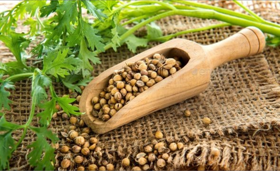 Indian Agricultural Products Exporter