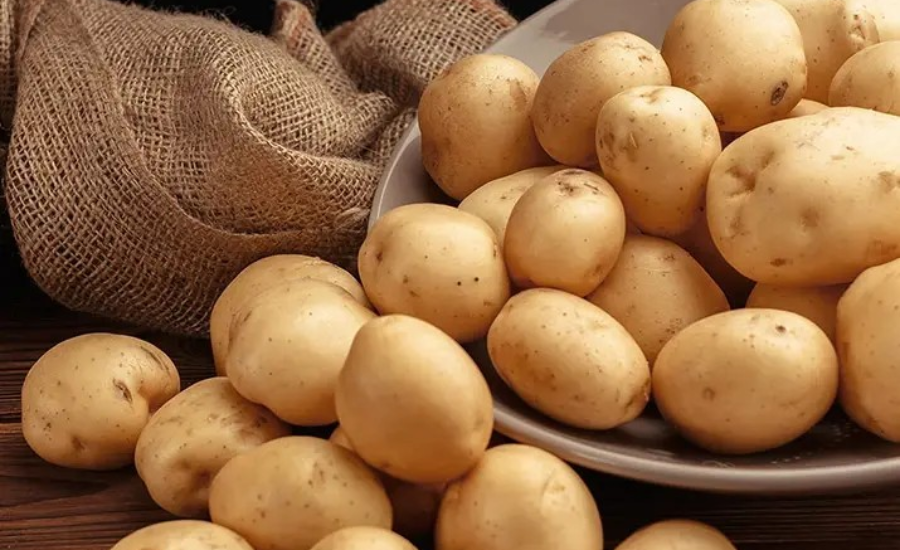 Indian Agricultural Products Exporter