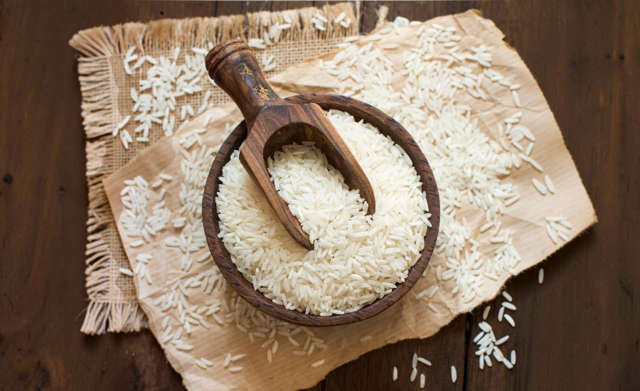 Indian Agricultural Products Exporter