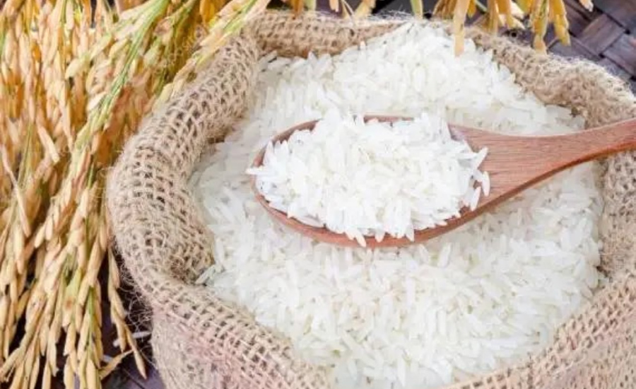 Indian Agricultural Products Exporter